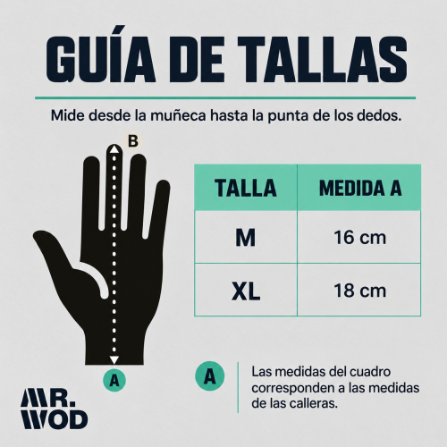 Guía de tallas de calleras